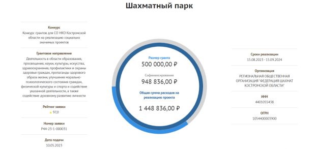 Шахматный парк в Костроме