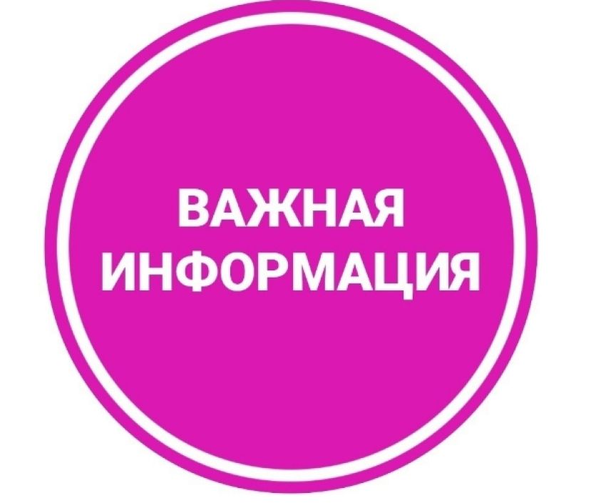И снова о сдаче отчетности
