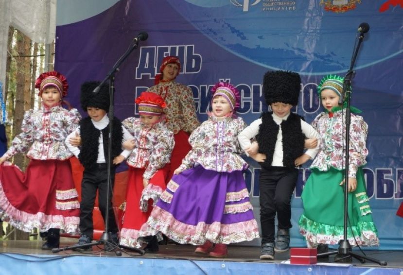 Проект &laquo;Костромской Дом национальностей&raquo;