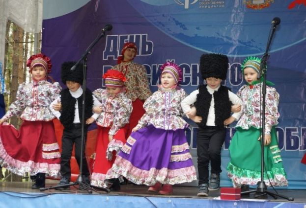 Проект &laquo;Костромской Дом национальностей&raquo;