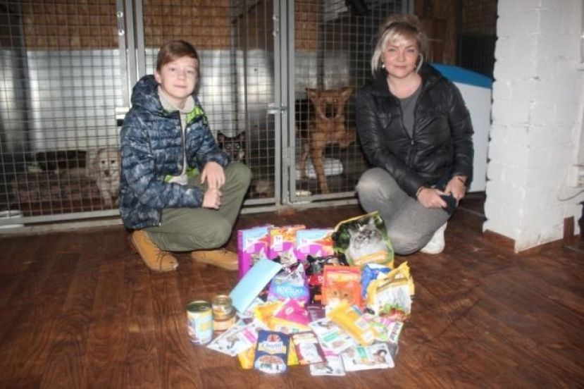 Проект &laquo;Пункт бесплатной стерилизации животных&raquo;