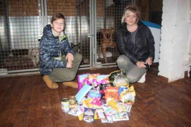 Проект &laquo;Пункт бесплатной стерилизации животных&raquo;